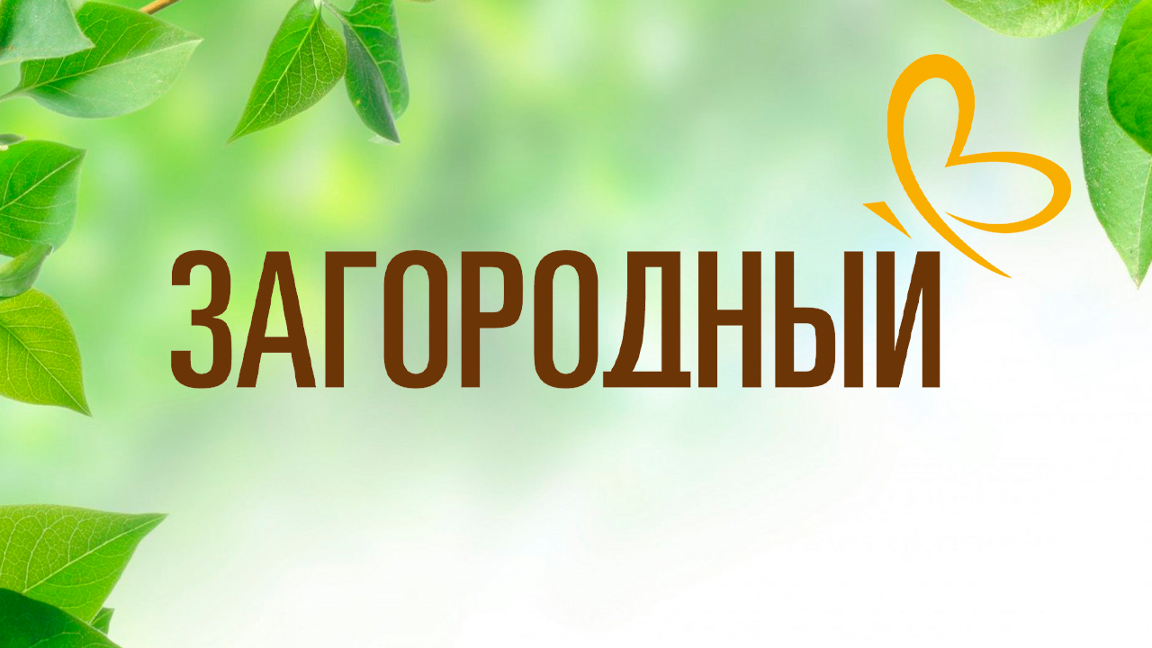 Загородный