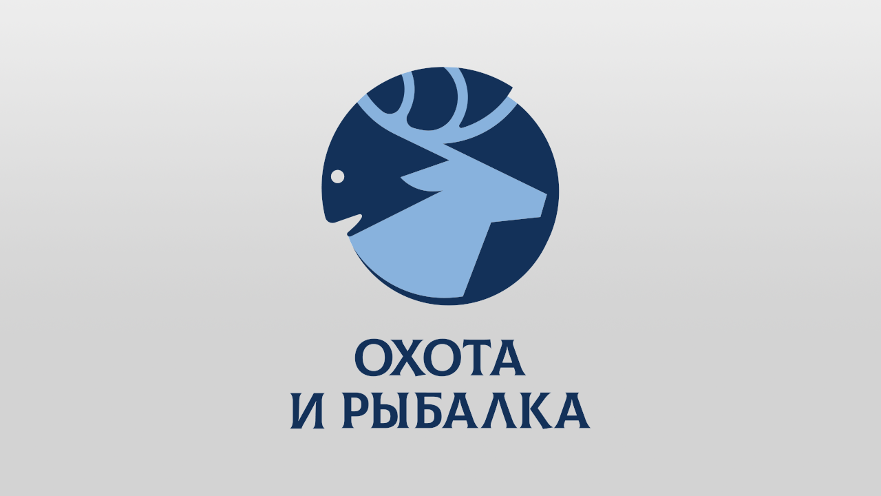 Охота и рыбалка