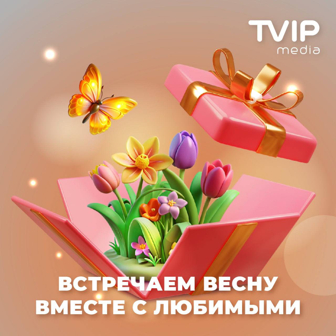 Новости от телевидения TVIP